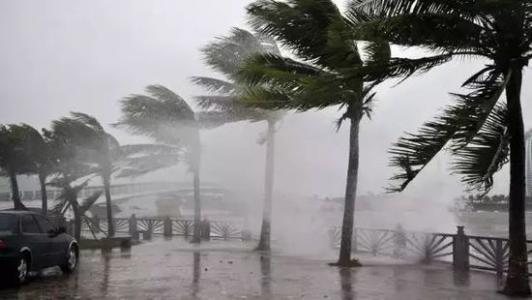 8月臺風雨即將來，除濕機還得用起來