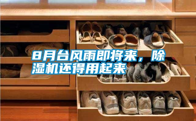 8月臺風雨即將來，除濕機還得用起來