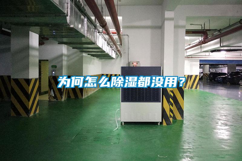 為何怎么除濕都沒用？