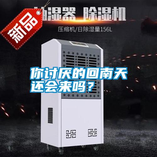 你討厭的回南天還會來嗎？