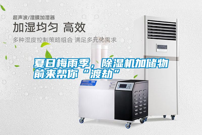 夏日梅雨季，除濕機(jī)加儲(chǔ)物前來(lái)幫你“渡劫”