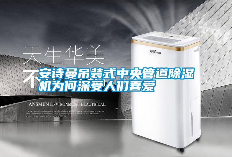 安詩(shī)曼吊裝式中央管道除濕機(jī)為何深受人們喜愛(ài)