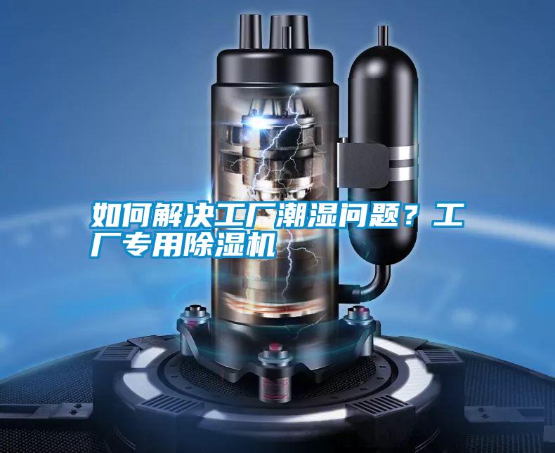 如何解決工廠潮濕問題？工廠專用除濕機