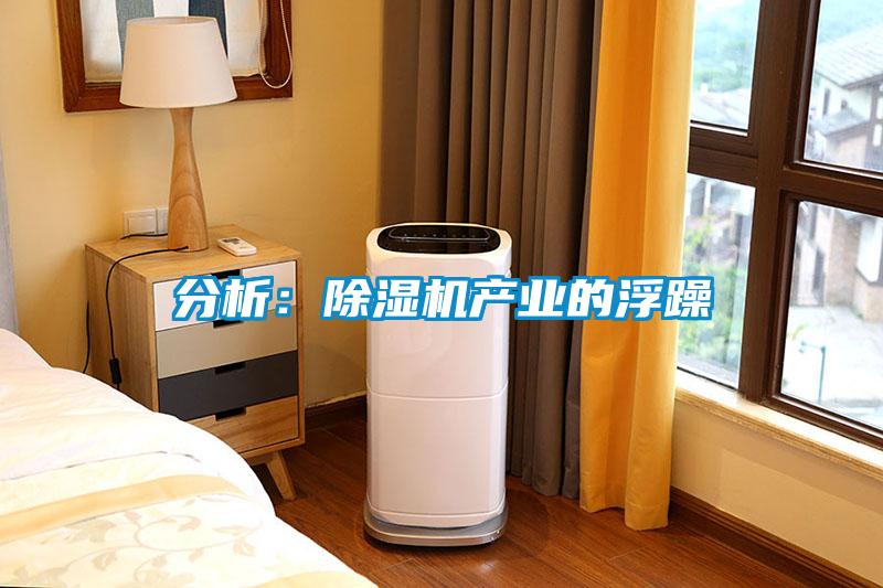分析：除濕機產(chǎn)業(yè)的浮躁