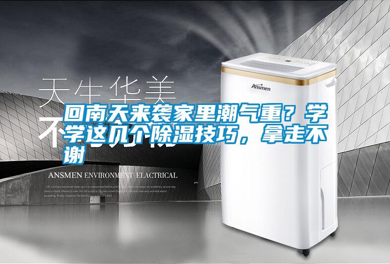 回南天來襲家里潮氣重？學學這幾個除濕技巧，拿走不謝