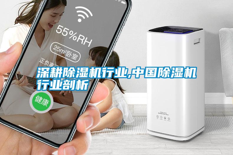 深耕除濕機(jī)行業(yè),中國(guó)除濕機(jī)行業(yè)剖析