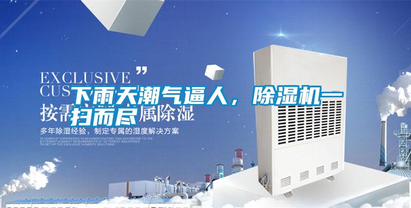 下雨天潮氣逼人，除濕機一掃而盡