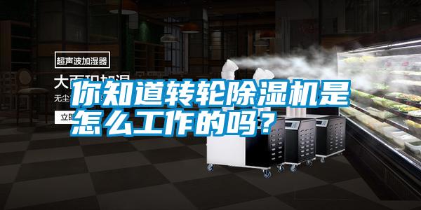 你知道轉(zhuǎn)輪除濕機(jī)是怎么工作的嗎？