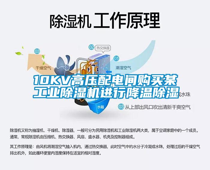 10KV高壓配電間購買某工業(yè)除濕機(jī)進(jìn)行降溫除濕