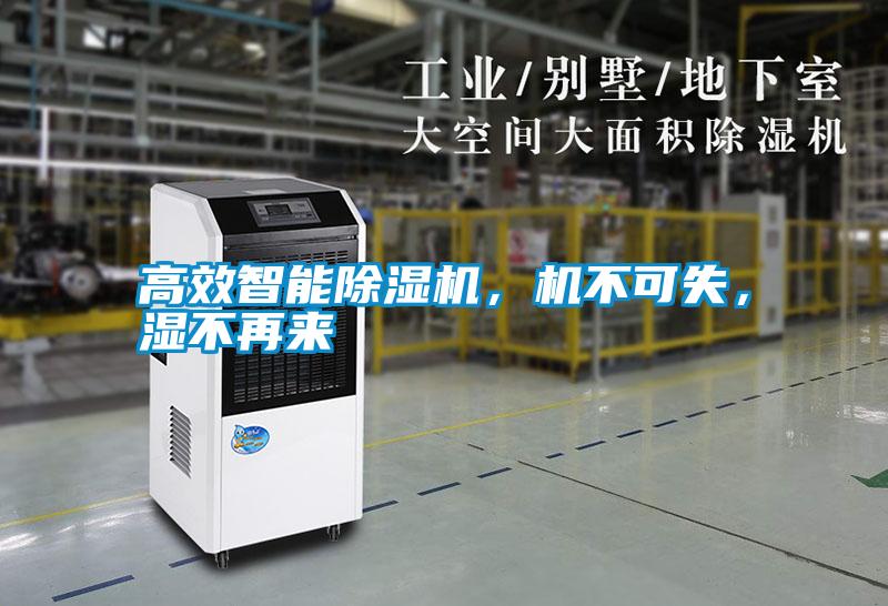 高效智能除濕機，機不可失，濕不再來