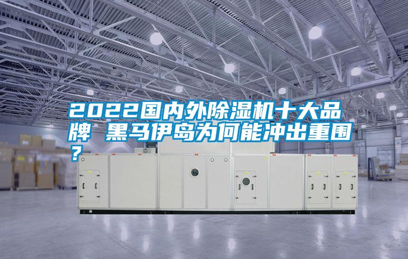 2022國內(nèi)外除濕機十大品牌 黑馬伊島為何能沖出重圍？