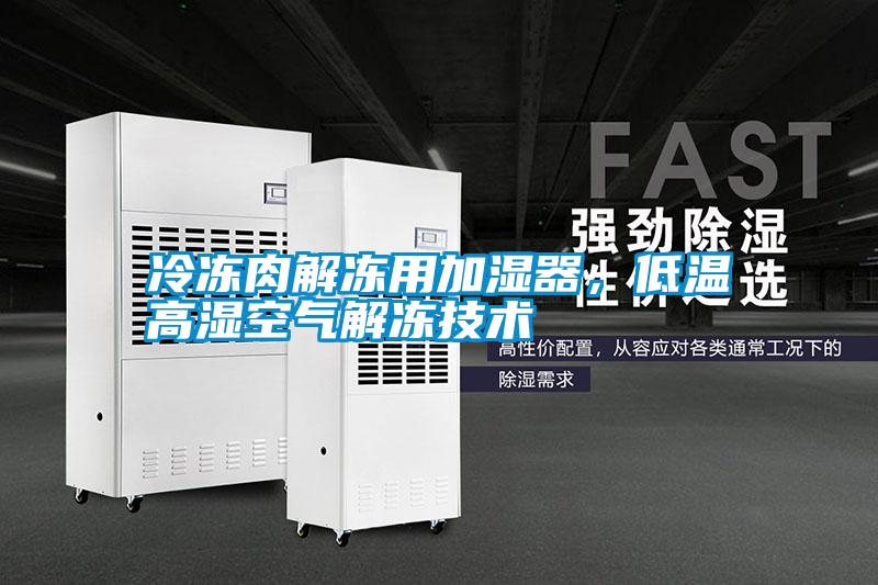 冷凍肉解凍用加濕器，低溫高濕空氣解凍技術(shù)