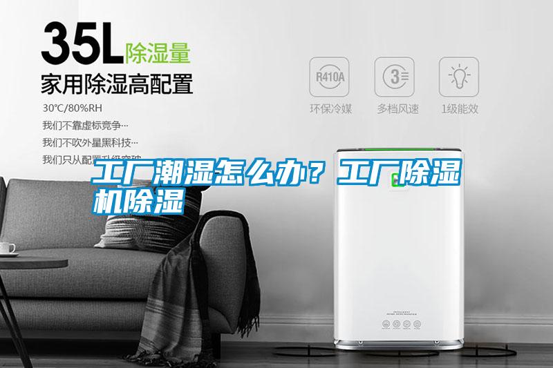 工廠潮濕怎么辦？工廠除濕機除濕