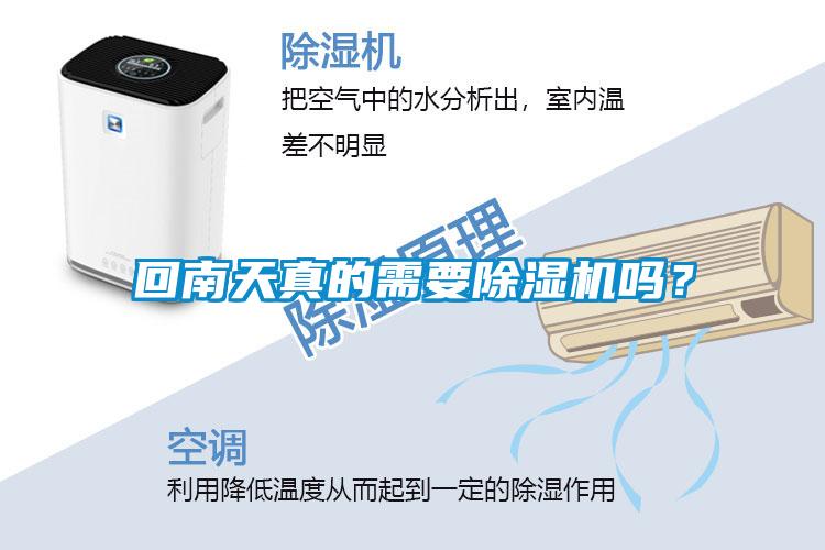 回南天真的需要除濕機嗎？