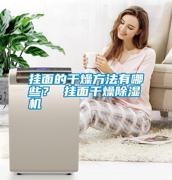 掛面的干燥方法有哪些？ 掛面干燥除濕機(jī)