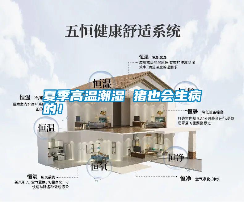 夏季高溫潮濕 豬也會(huì)生病的！