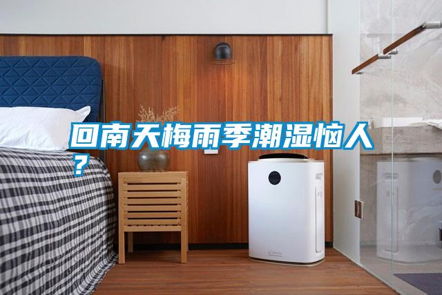 回南天梅雨季潮濕惱人？