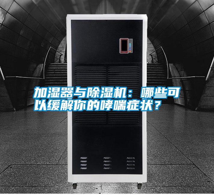 加濕器與除濕機：哪些可以緩解你的哮喘癥狀？