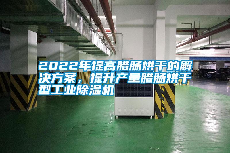 2022年提高臘腸烘干的解決方案，提升產(chǎn)量臘腸烘干型工業(yè)除濕機