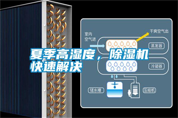 夏季高濕度，除濕機(jī)快速解決