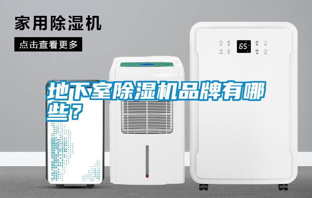 地下室除濕機(jī)品牌有哪些？