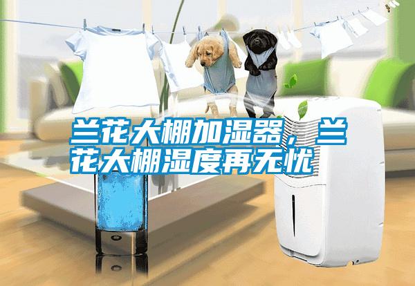 蘭花大棚加濕器，蘭花大棚濕度再無憂