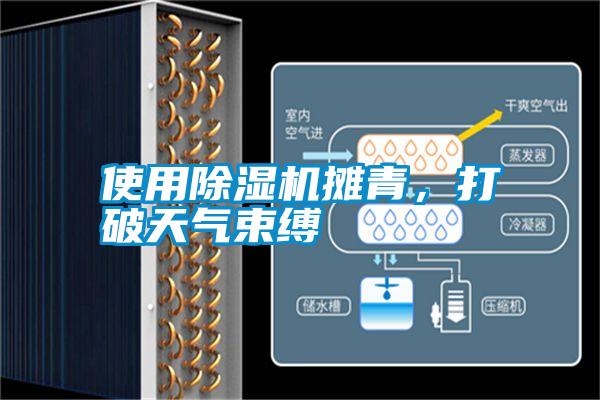 使用除濕機(jī)攤青，打破天氣束縛