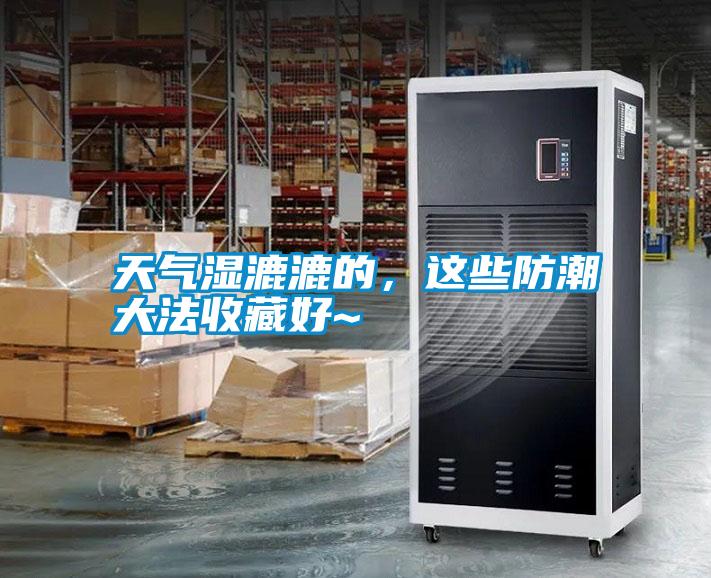 天氣濕漉漉的，這些防潮大法收藏好~