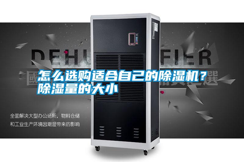 怎么選購適合自己的除濕機(jī)？除濕量的大小