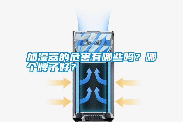 加濕器的危害有哪些嗎？哪個牌子好？