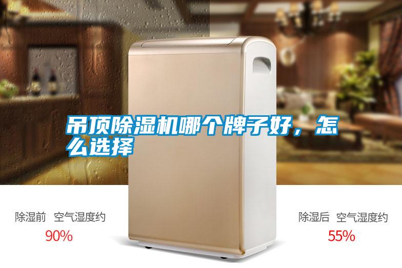 吊頂除濕機(jī)哪個牌子好，怎么選擇