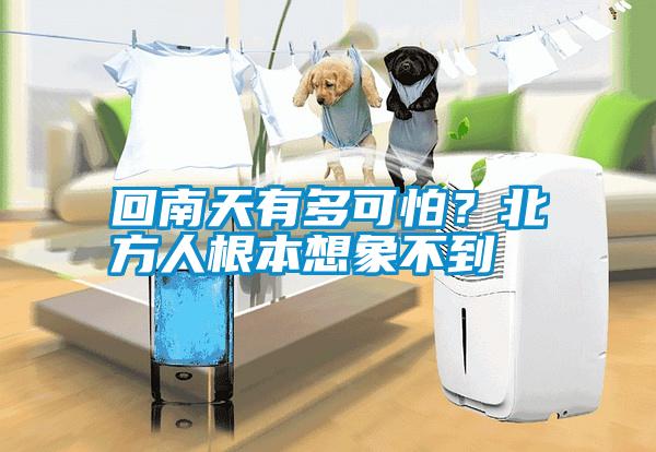 回南天有多可怕？北方人根本想象不到
