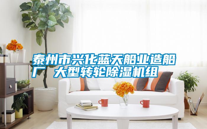 泰州市興化藍天船業(yè)造船廠 大型轉輪除濕機組