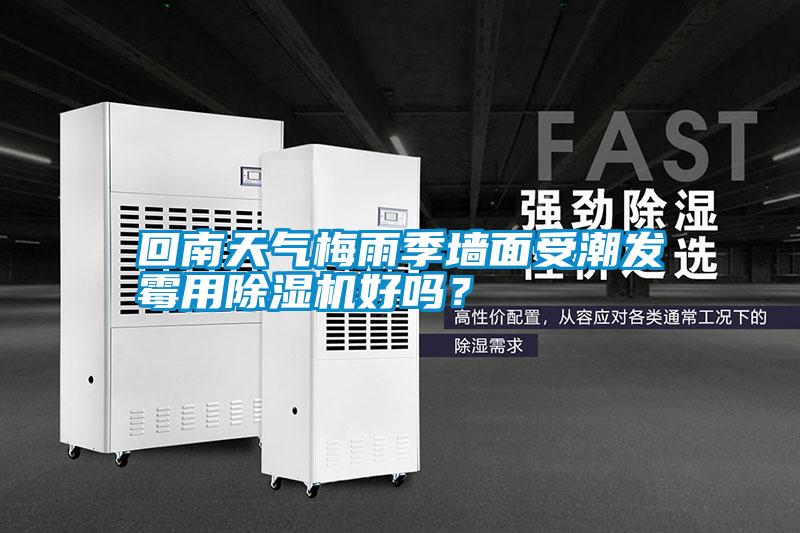 回南天氣梅雨季墻面受潮發(fā)霉用除濕機好嗎？