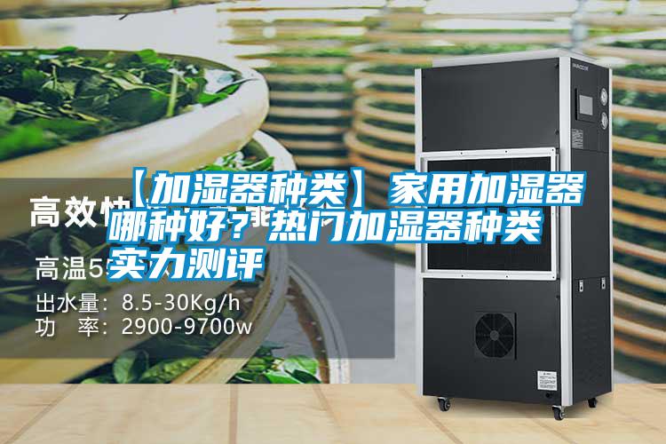 【加濕器種類】家用加濕器哪種好？熱門加濕器種類實(shí)力測(cè)評(píng)