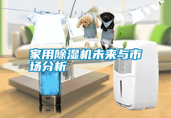 家用除濕機(jī)未來(lái)與市場(chǎng)分析
