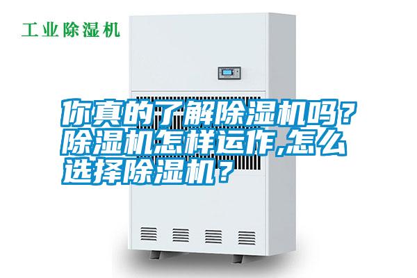 你真的了解除濕機(jī)嗎？除濕機(jī)怎樣運(yùn)作,怎么選擇除濕機(jī)？