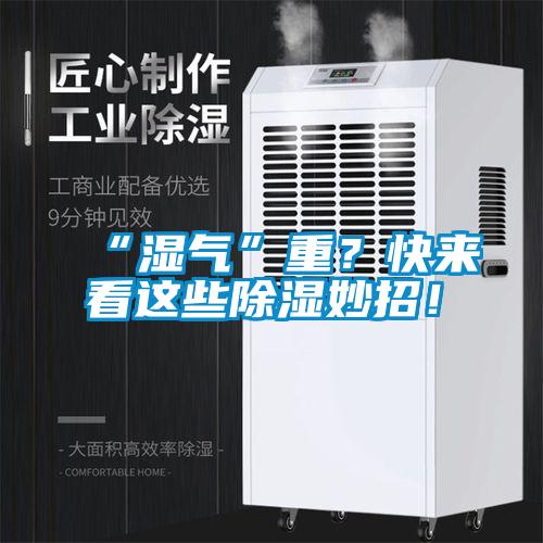 “濕氣”重？快來看這些除濕妙招！