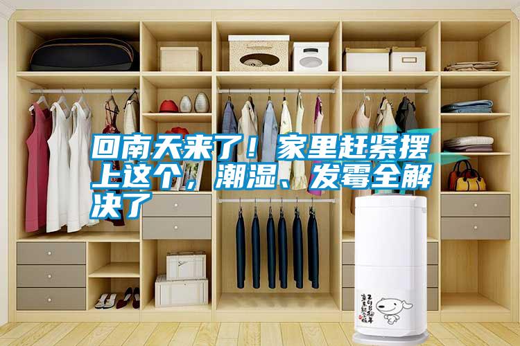 回南天來了！家里趕緊擺上這個(gè)，潮濕、發(fā)霉全解決了