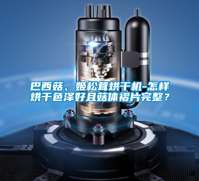 巴西菇、姬松茸烘干機-怎樣烘干色澤好且菇體褶片完整？
