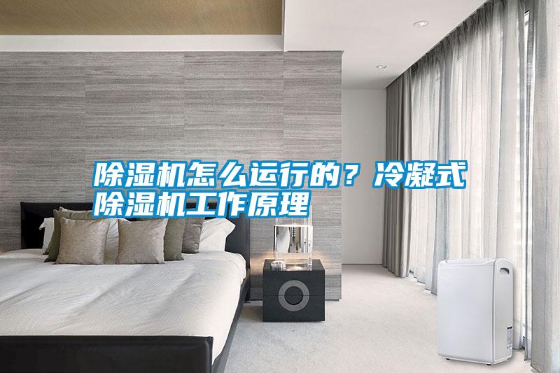 除濕機(jī)怎么運(yùn)行的？冷凝式除濕機(jī)工作原理