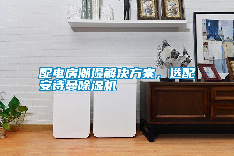 配電房潮濕解決方案，選配安詩(shī)曼除濕機(jī)