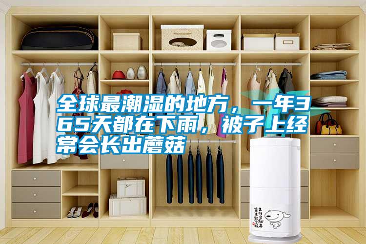 全球最潮濕的地方，一年365天都在下雨，被子上經(jīng)常會長出蘑菇