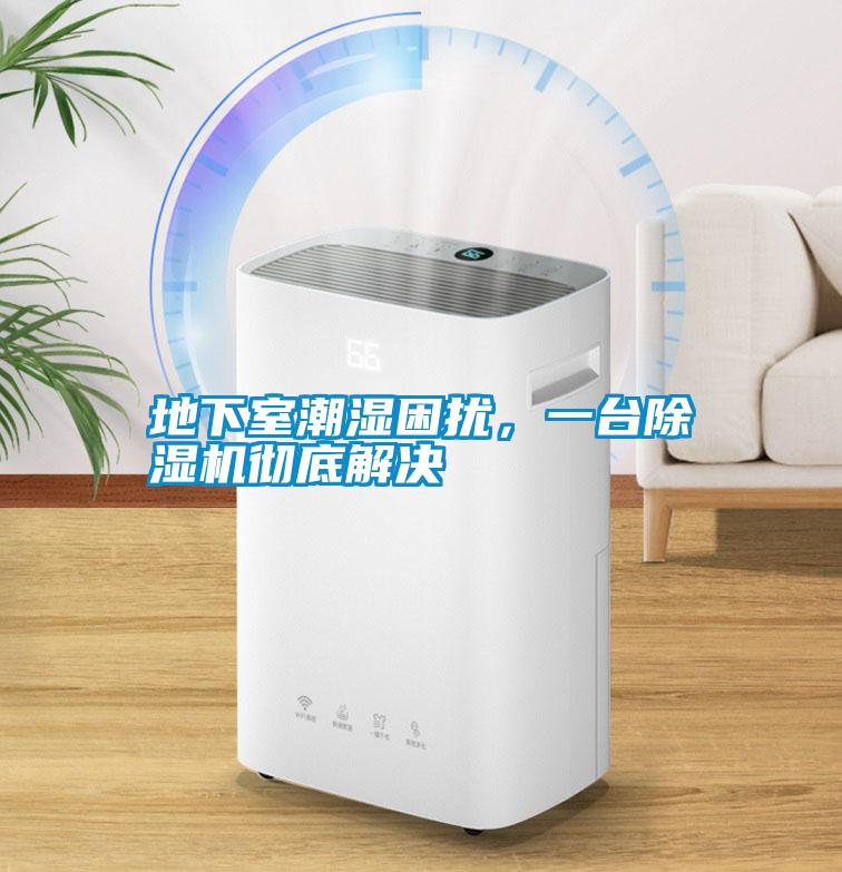 地下室潮濕困擾，一臺(tái)除濕機(jī)徹底解決