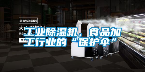 工業(yè)除濕機，食品加工行業(yè)的“保護傘”