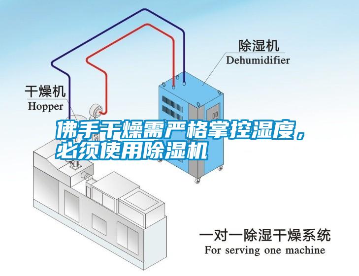 佛手干燥需嚴格掌控濕度，必須使用除濕機