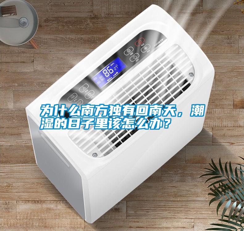 為什么南方獨有回南天，潮濕的日子里該怎么辦？