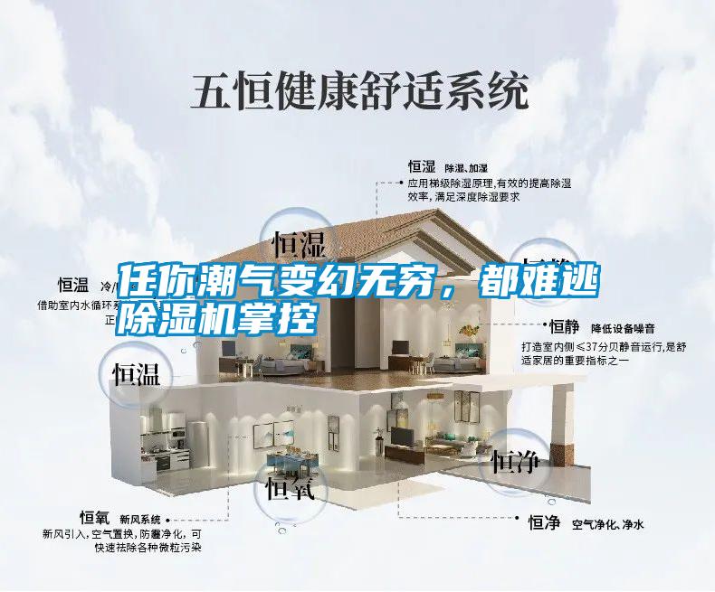 任你潮氣變幻無(wú)窮，都難逃除濕機(jī)掌控