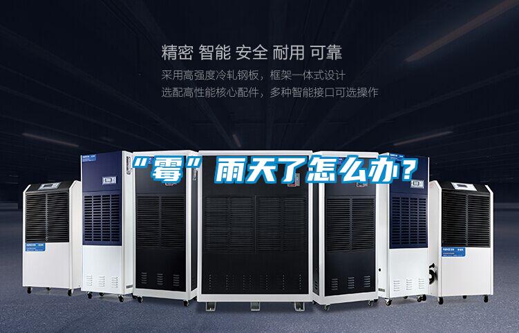 “霉”雨天了怎么辦？