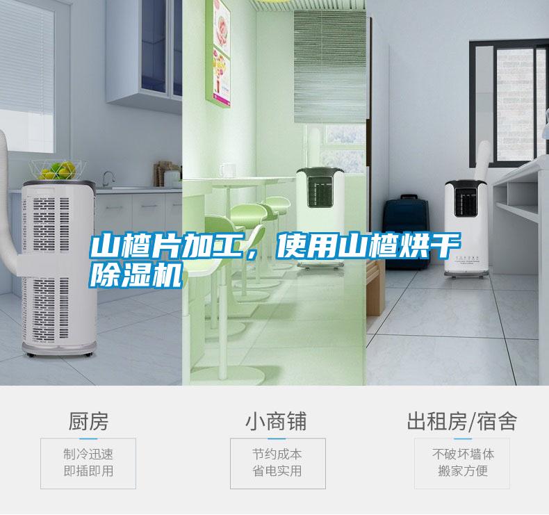 山楂片加工，使用山楂烘干除濕機(jī)